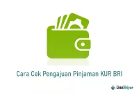 Cara Cek Pengajuan Pinjaman KUR BRI